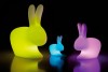 Rabbit LED at Italy365