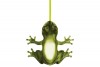 Hungry Frog lighting at Italy365
