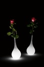 MyYour Ampoule illuminated vase