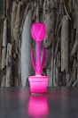 MyYour Tulip S table lamp